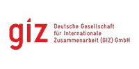 Giz