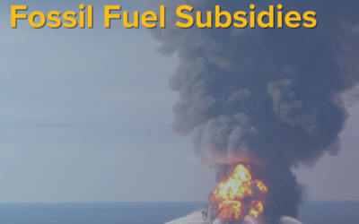 Fossil Fuel Subsidies: The price we pay to stay stuck