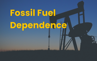 Fossil Fuel Dependence: Half a century of the same tank